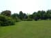 Verde che pace!